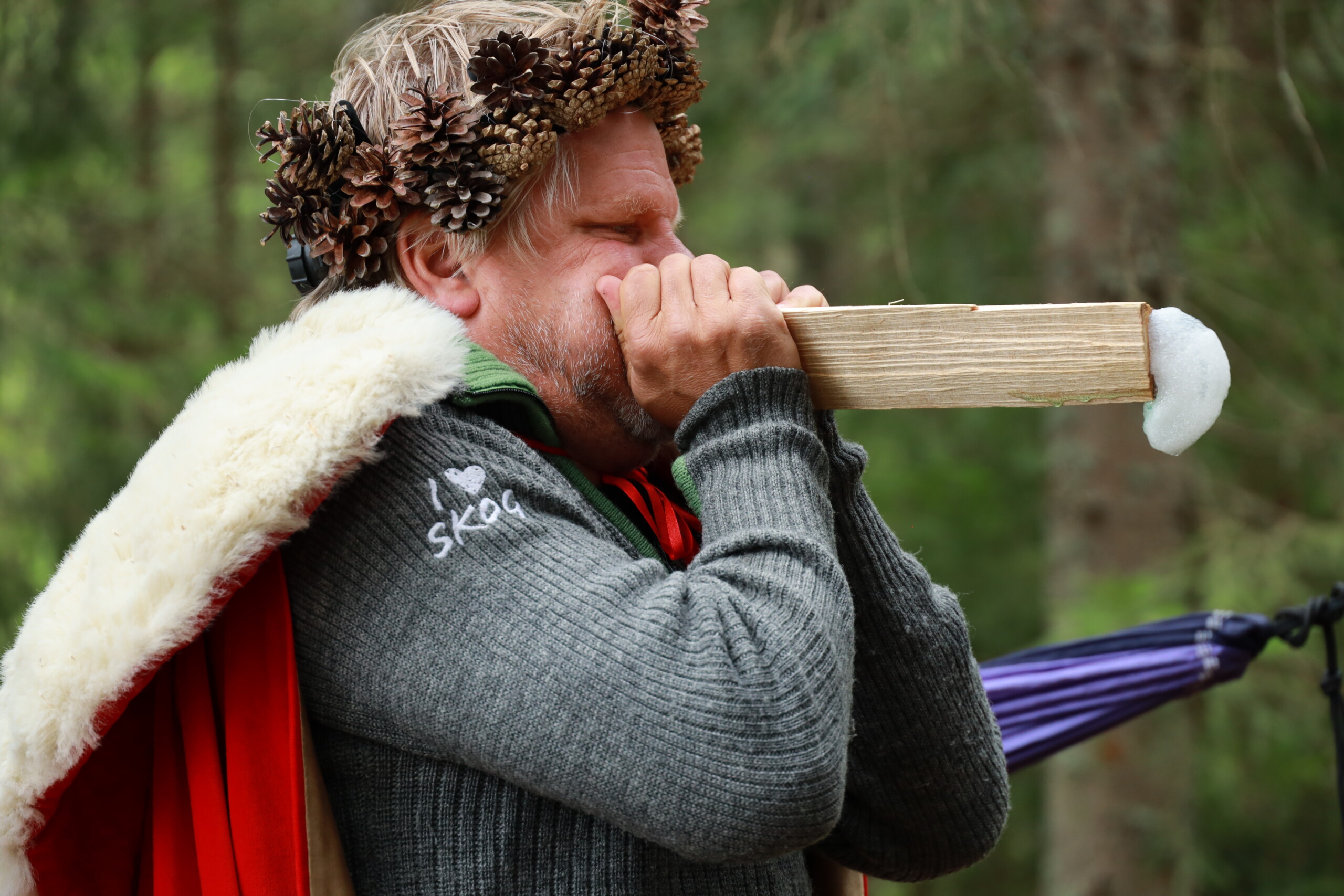 Kong(l)e for en&nbsp;dag