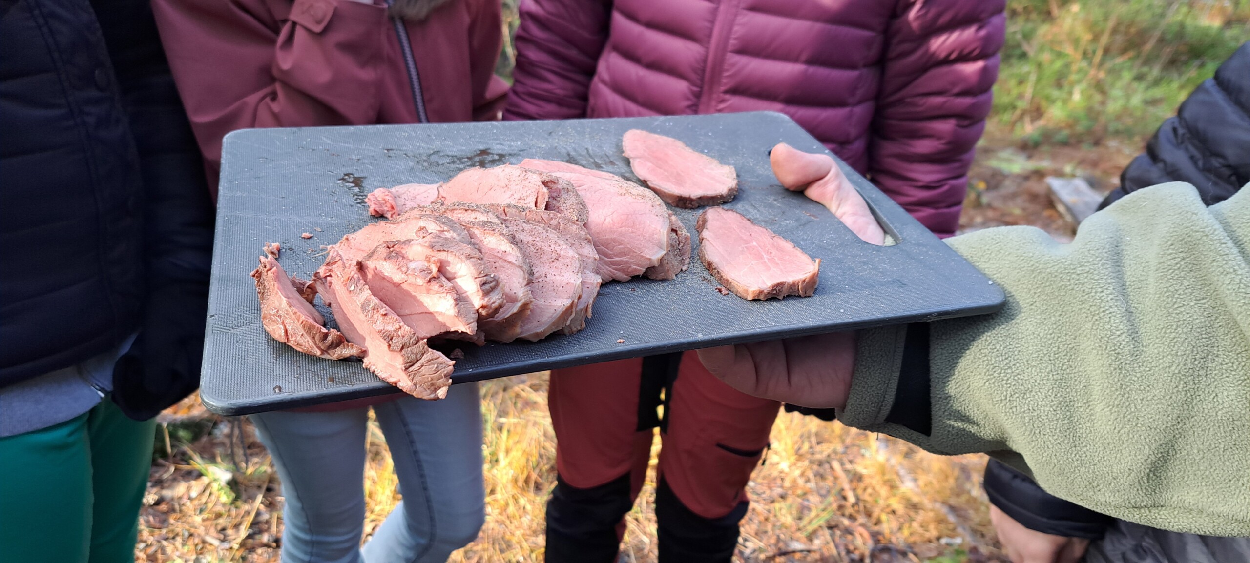 Hvordan lærer vi barn å&nbsp;få respekt for vilt og utmark?