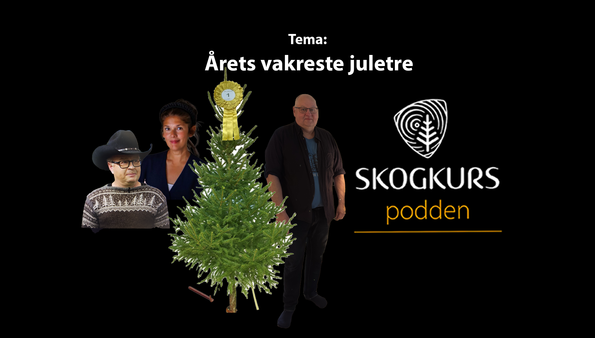 Podcast: Årets vakreste juletre