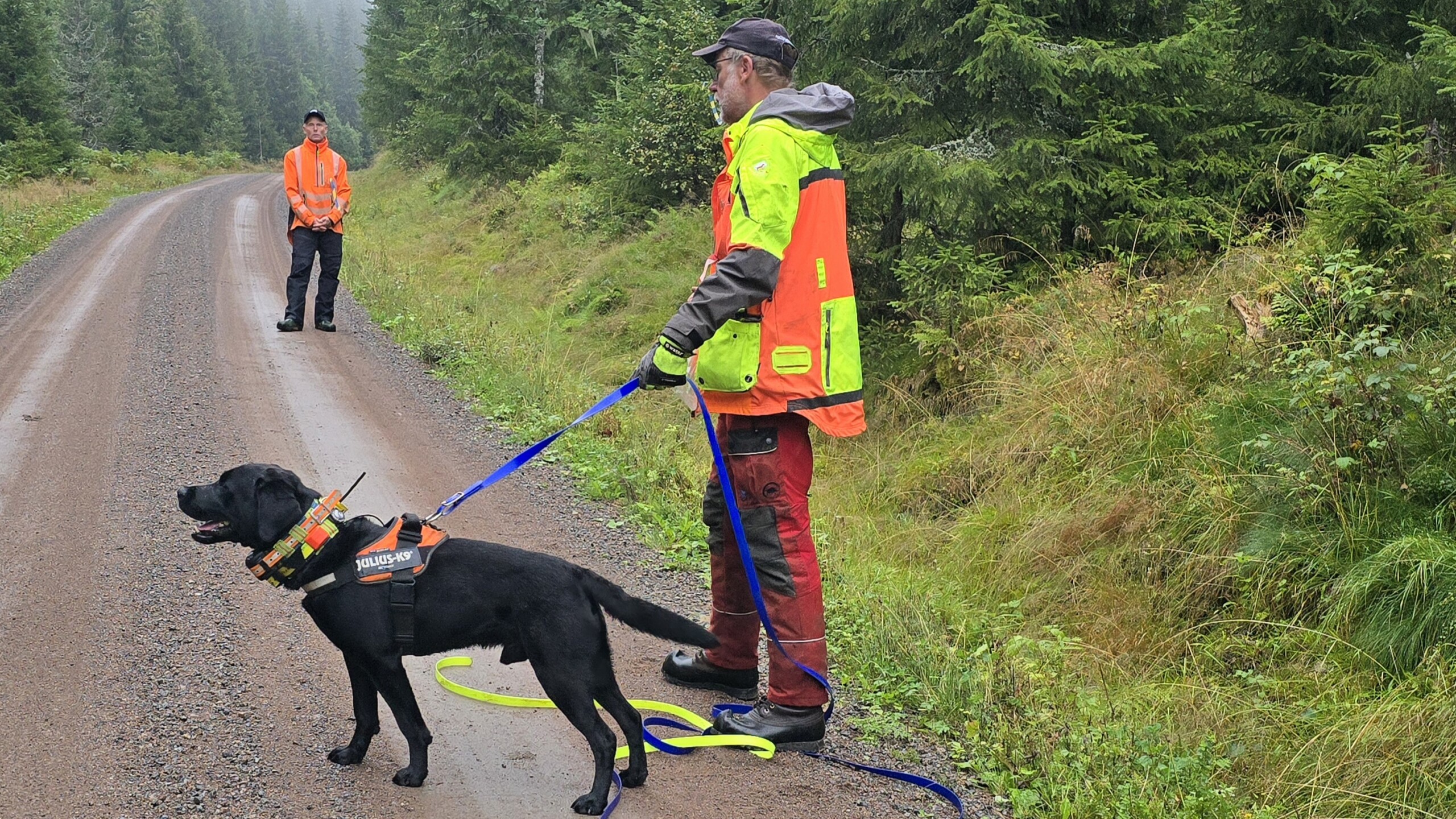 Bedre ettersøk – med fokus på dyrevelferd