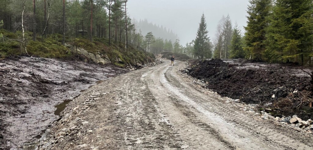Fagsamling vei 2021 - løsning på vei gjennom ei myr