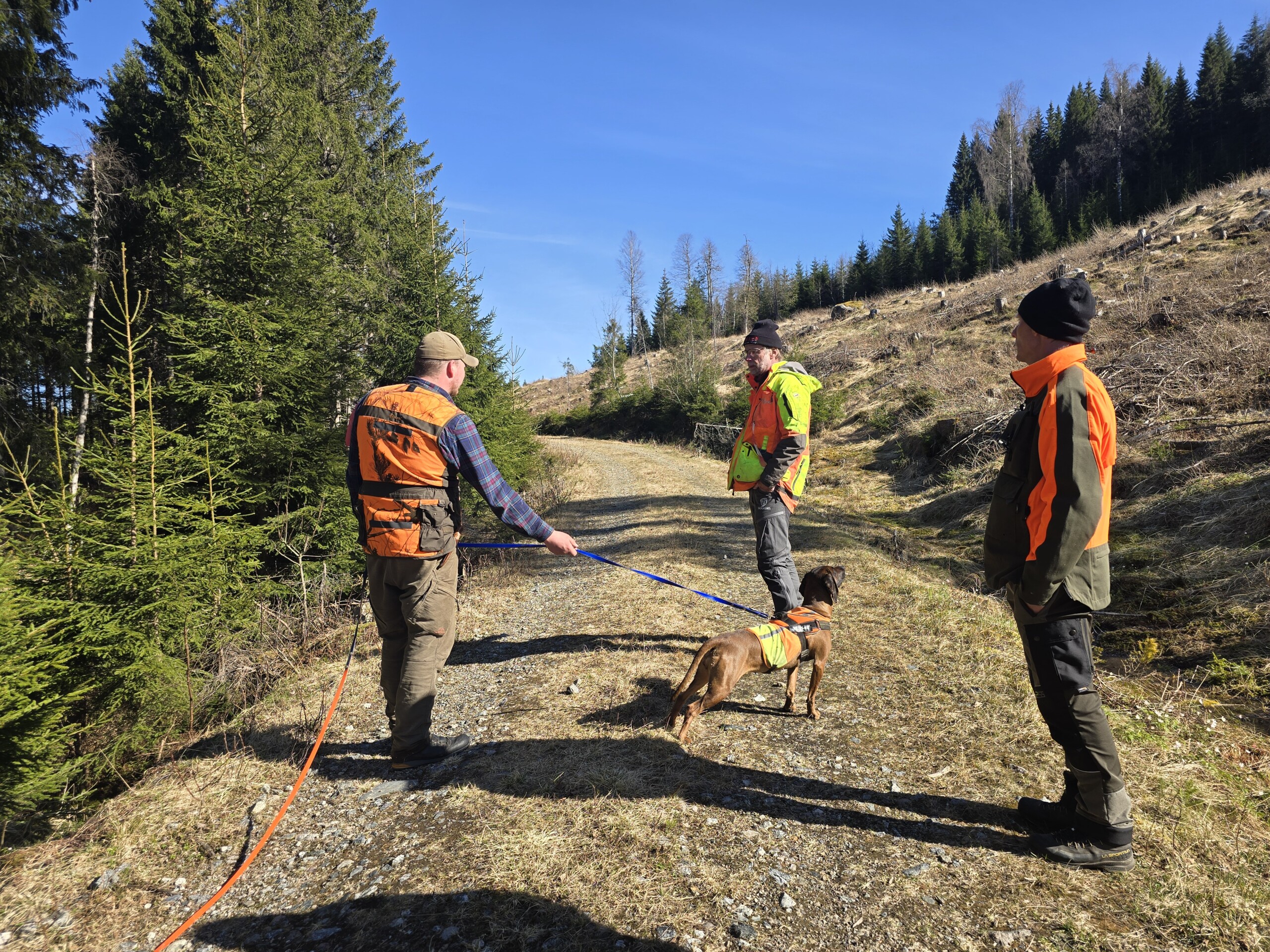 Bedre ettersøk med fokus på dyrevelferd!