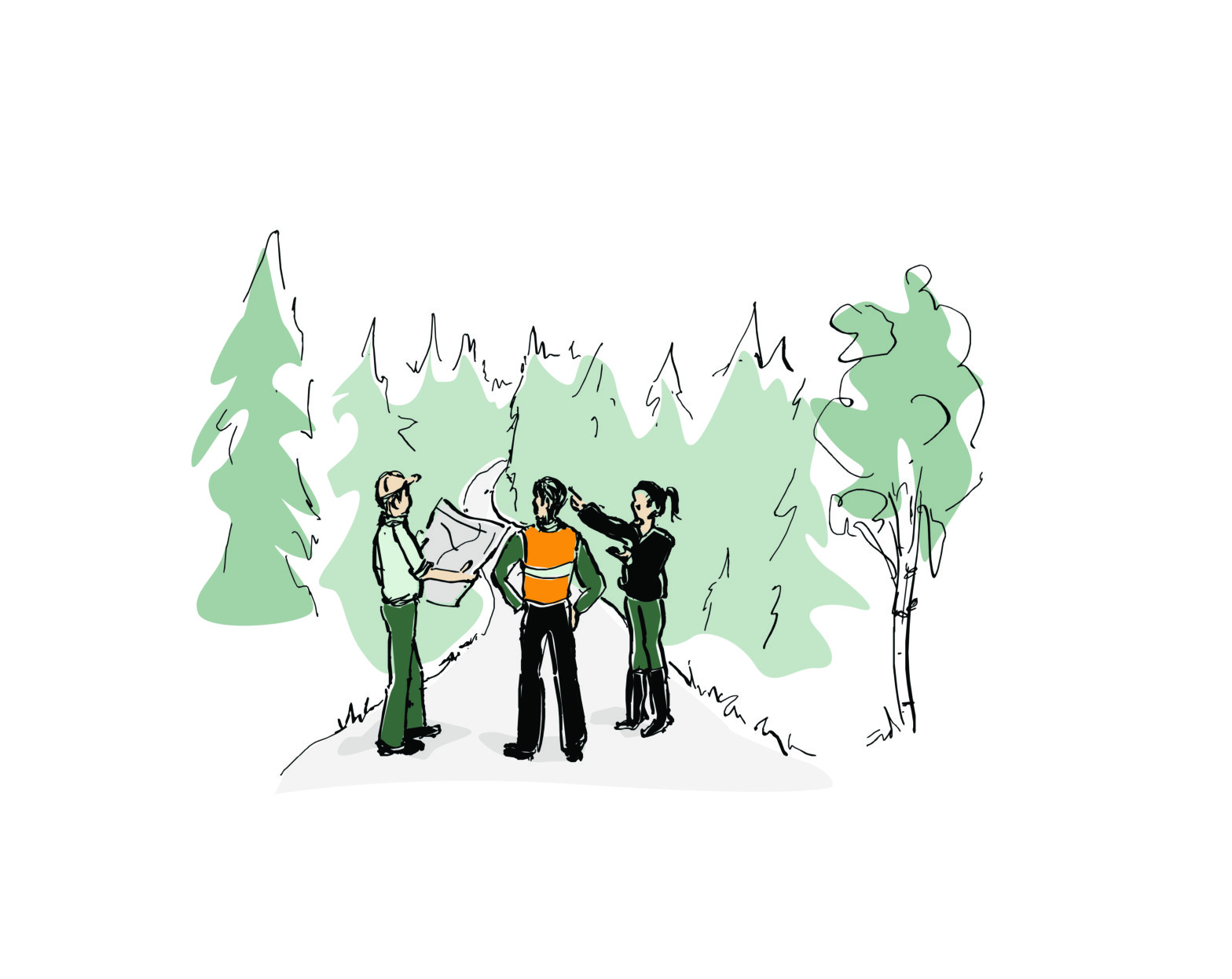 Veivedlikehold i&nbsp;ordnede former