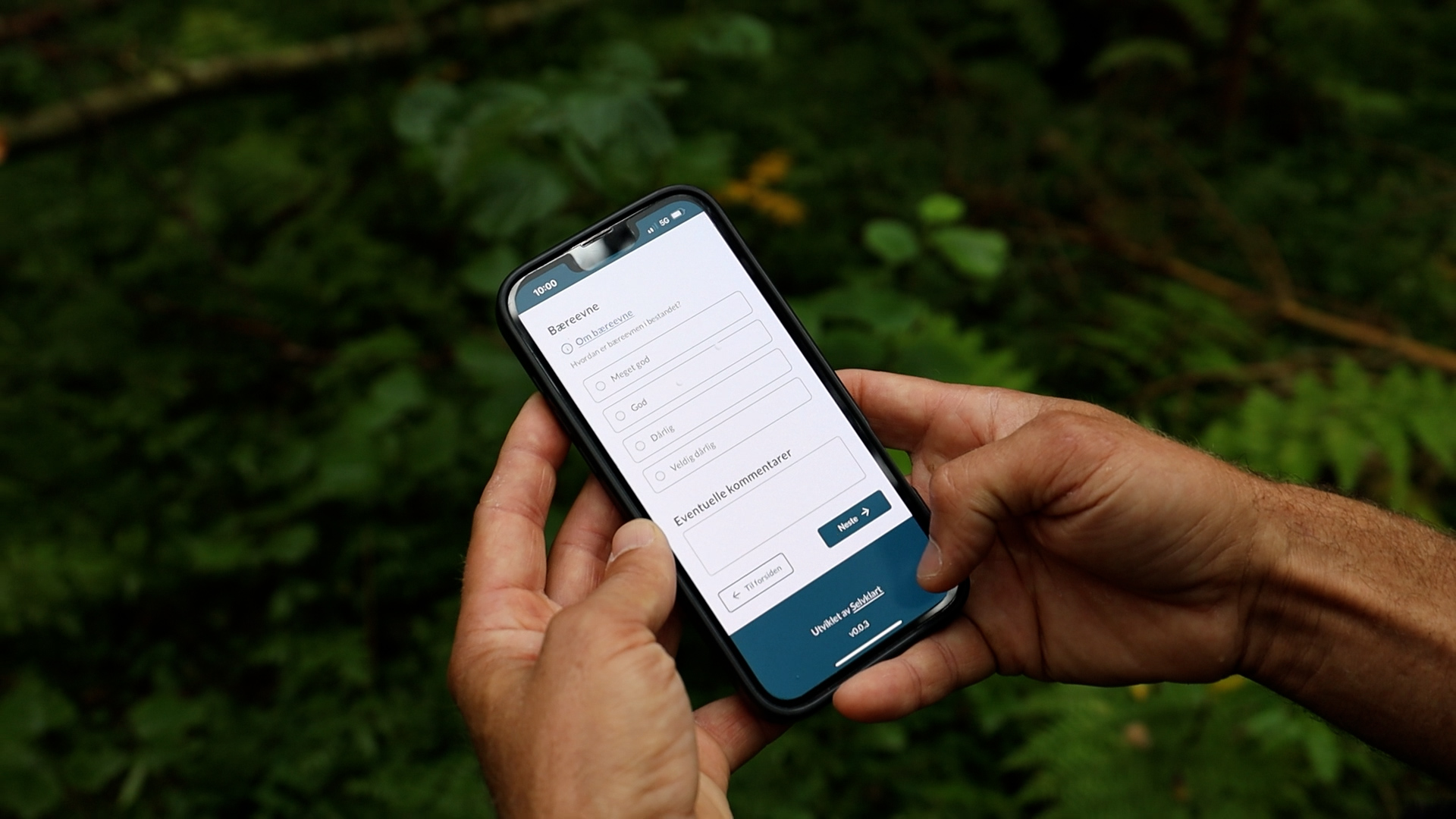 Skal jeg gjøre lukket hogst&nbsp;her?