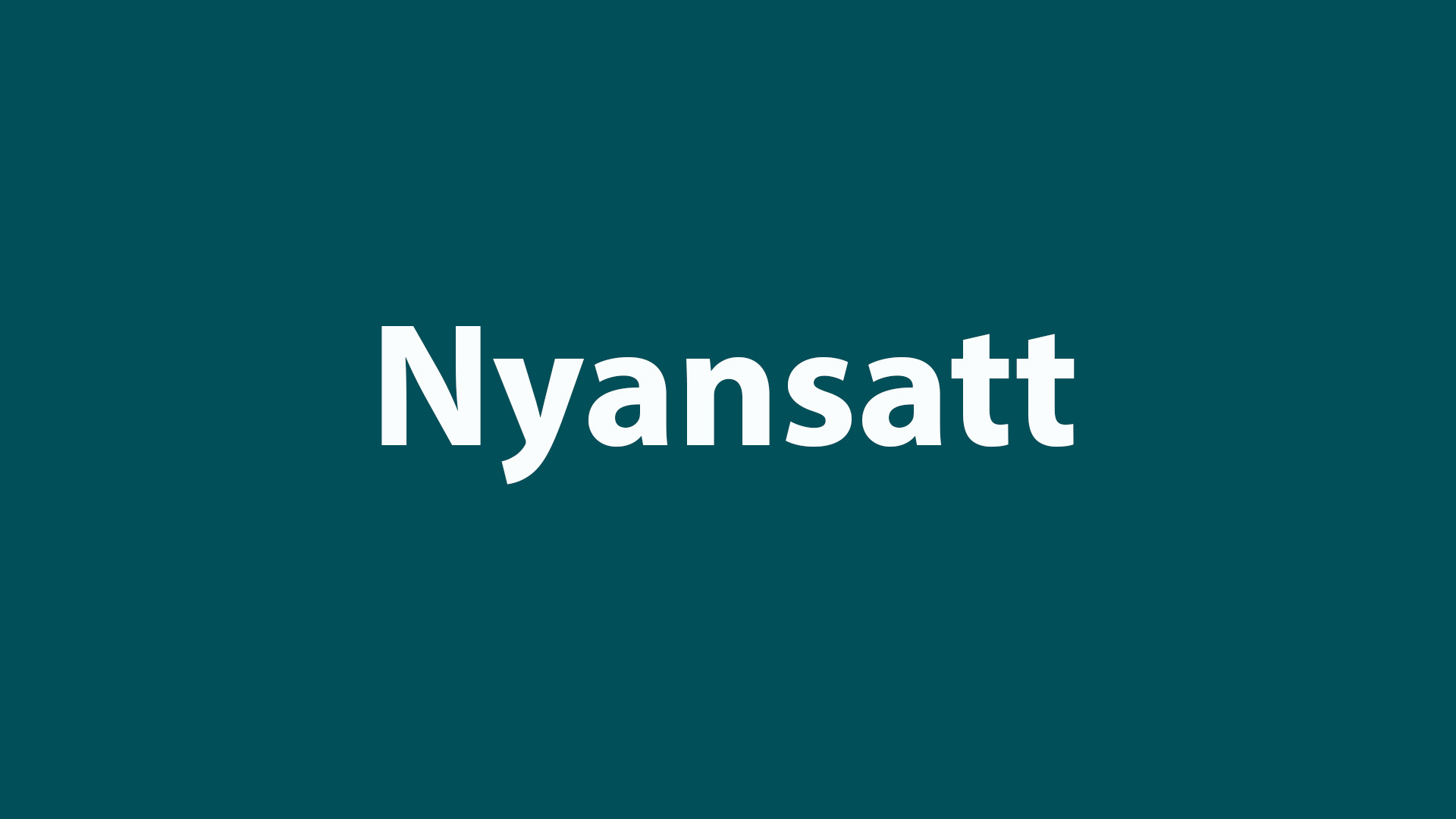 Nyansatt prosjekt­leder