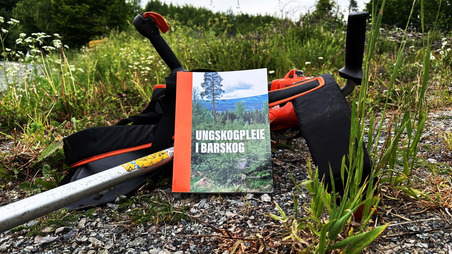 Ny temabok i ungskogpleie i barskog